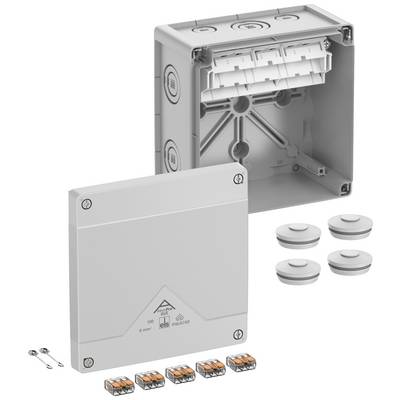 Electrical junction box with removable lid, including cable clamps and sealing plugs. Suitable for wall mounting.