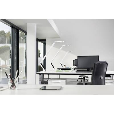 A modern, bright office with desks, black chairs, computer monitors and desk lamps in front of a large window frontage.