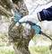A person is cutting a branch from a tree using an electric pruning shears. The shears are being held in a gloved hand.