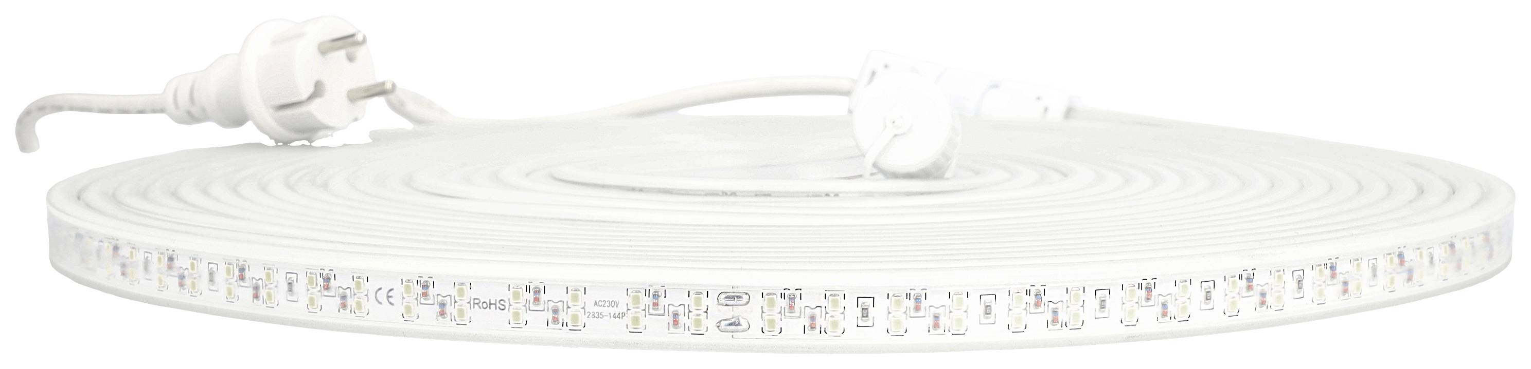 A long LED light strip with a mains plug and switch, coiled up on a flat surface.