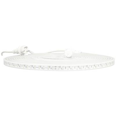 A long LED light strip with a mains plug and switch, coiled up on a flat surface.
