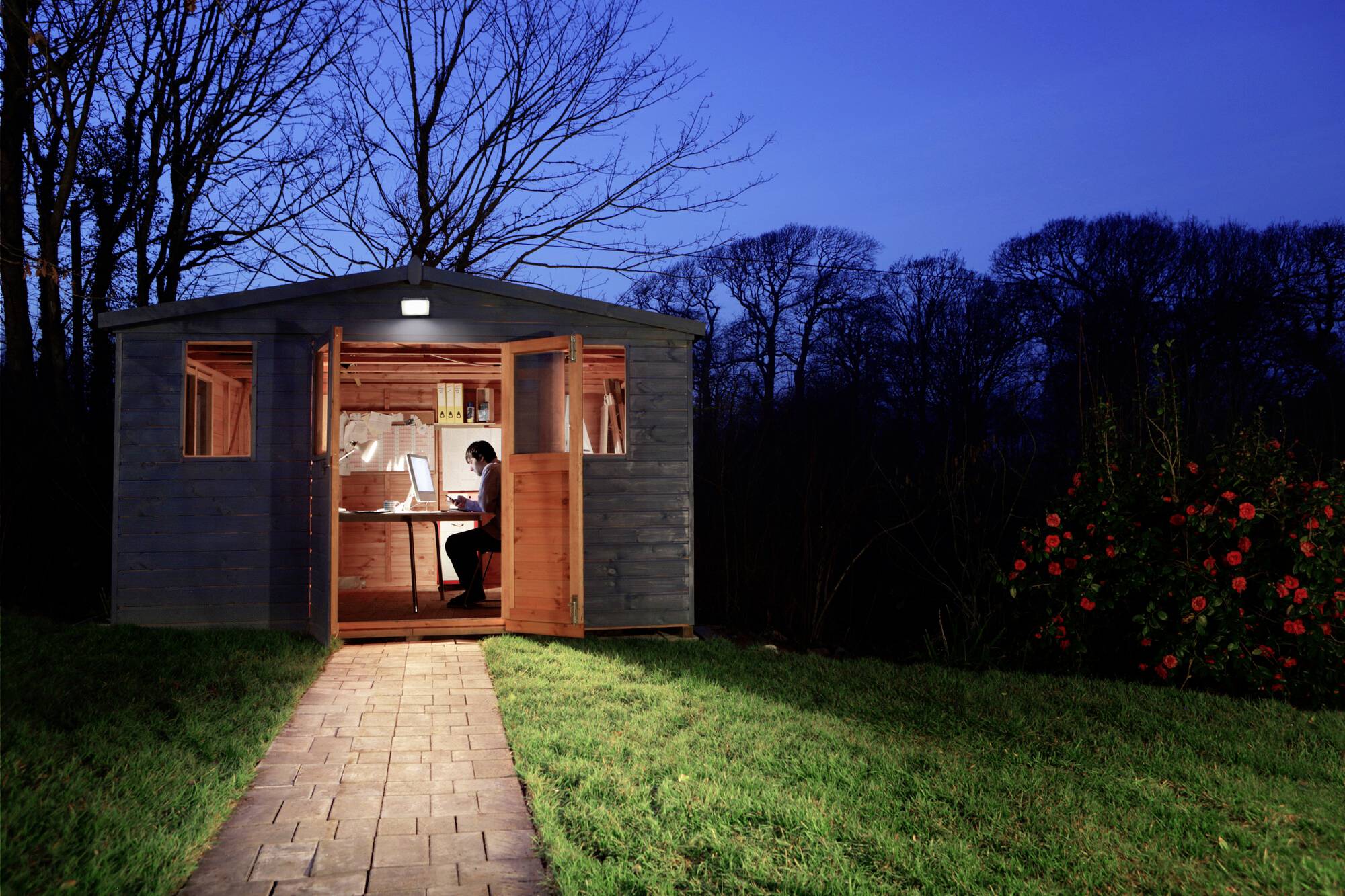 A person sits in an illuminated garden shed in the evening, working on a computer. The surrounding garden is dark, with flowering shrubs.