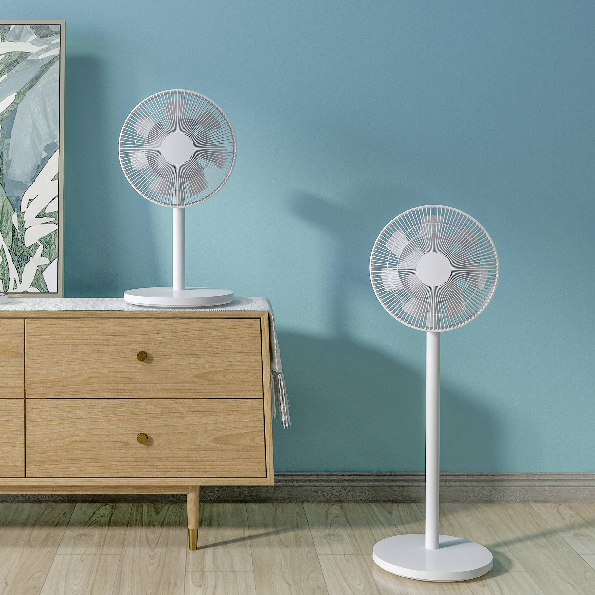Two fans are in a room: One is on a wooden table, the other on the floor. The wall is turquoise.