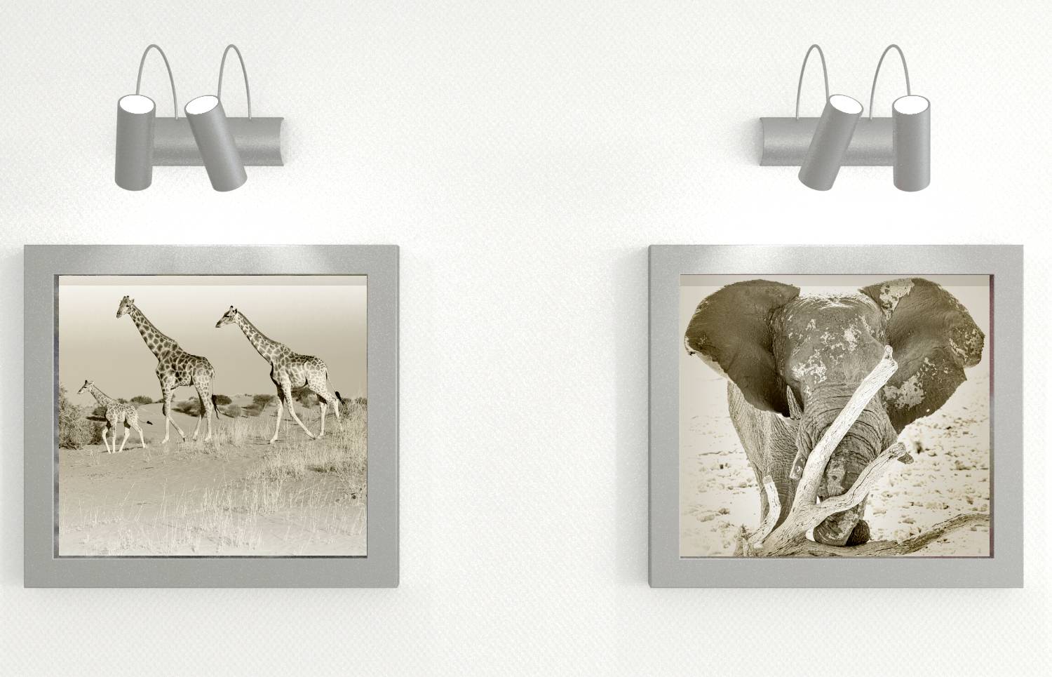 Two framed photographs on a white wall: On the left, giraffes in the savannah, on the right, an elephant in the sand, illuminated by two lamps.
