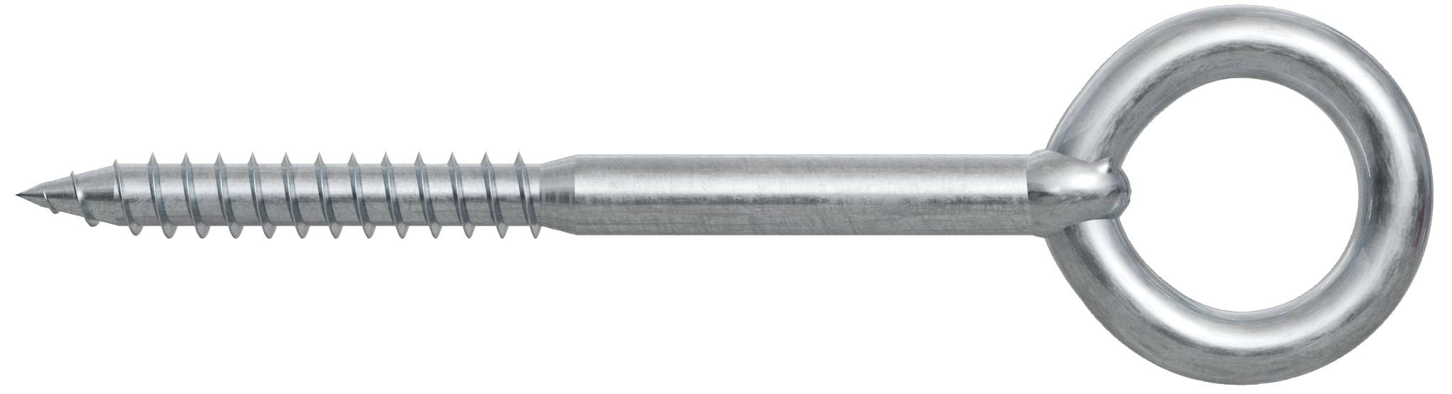 Fischer Fischer GS 8 x 80 eyelet screw 1 Set