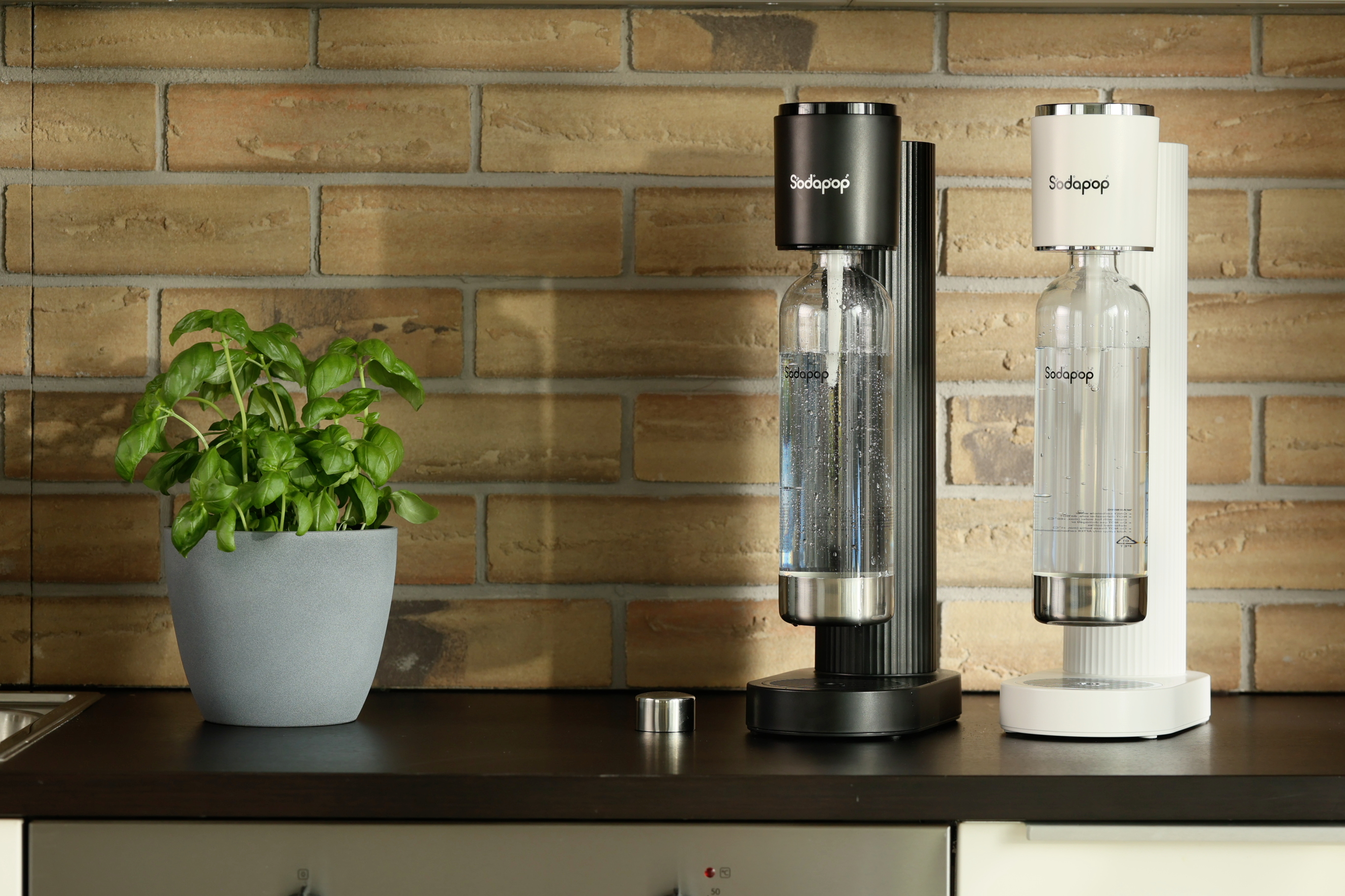 Two sparkling water makers in black and white are standing on a worktop in front of a brick wall, next to a pot with a fresh, green plant.