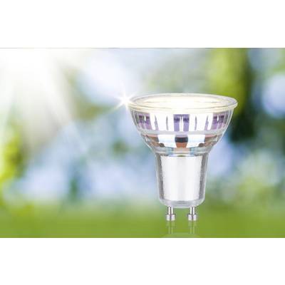 A LED lamp in front of a green, blurred background with sunlight shining on it.