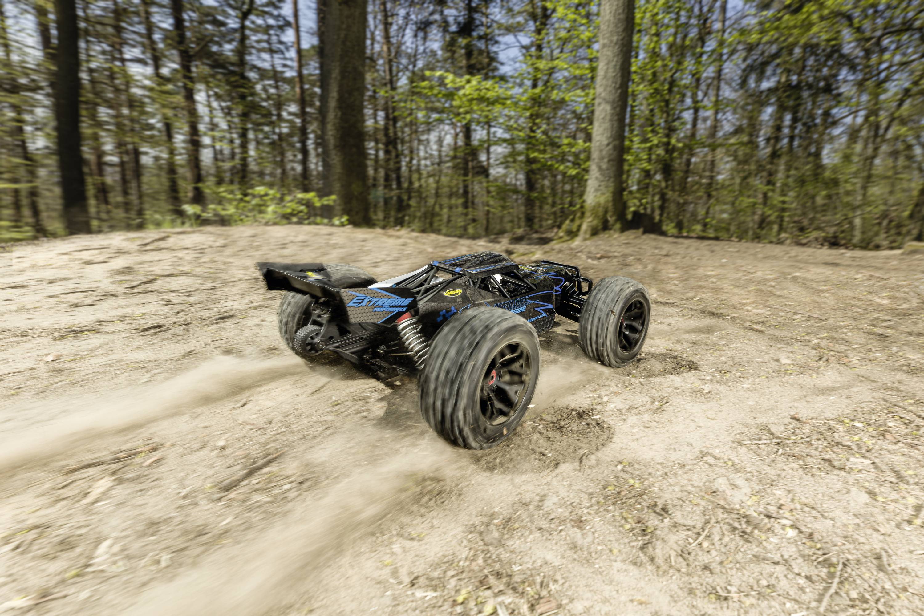 'Remote-controlled car drives quickly along a forest track, kicking up dust. Trees in the background. Motion and speed are depicted.'