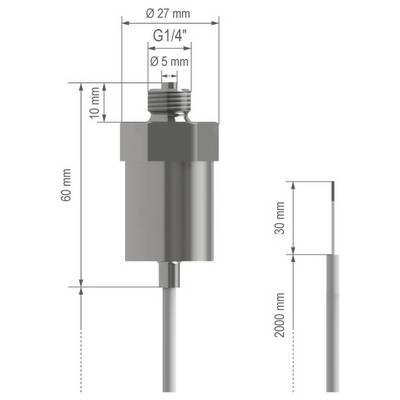 Dimensional technical drawing of a cylindrical sensor or probe with threaded top, labeled G1/4", showing overall size 60 mm tall, 27 mm wide, 5 mm opening, and 2000 mm cable/probe length.