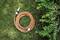 An orange spiral-shaped hose lying on green grass beside a bush with green leaves.
