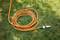 An orange garden hose lies in several coils on green grass, ready for watering.