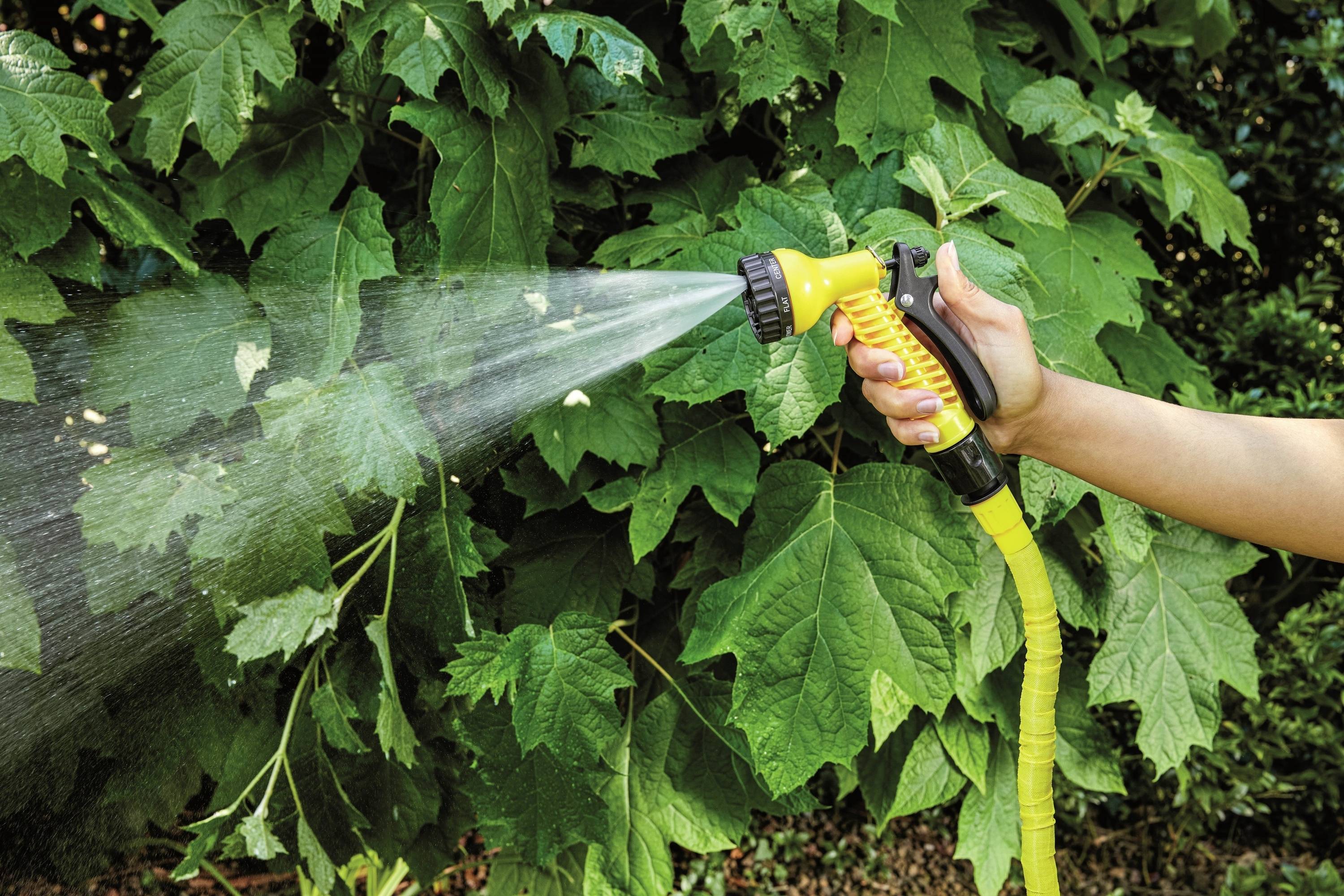 A hand holds a garden hose, spraying water onto green leaves.