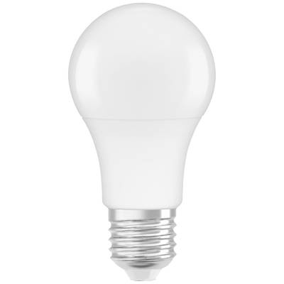 A white LED light bulb with standard screw thread, depicted against a neutral background.