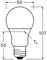 Sketch of a light bulb with dimensions: Height 107 mm, Width 60 mm, Distance to Tc point 55 mm.