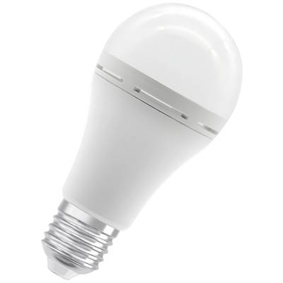 White LED light bulb with silver base against white background.