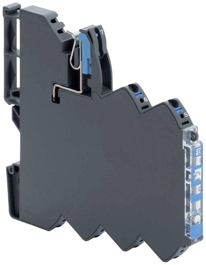 Kathy Lo／Osculum Infame Osculum infame - Wikipedia