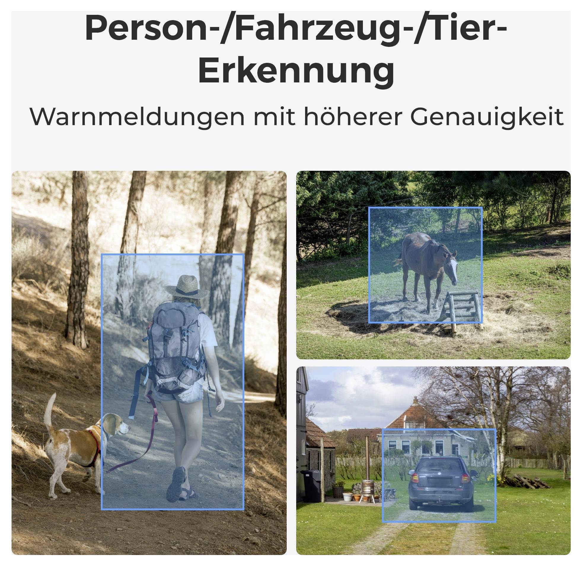 'Person-/Fahrzeug-/Tier-Erkennung' with images showing a person walking a dog, a horse in a field, and a car on a driveway.