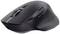 Black, ergonomic computer mouse with side buttons and scroll wheel. It has a curved shape for better grip.