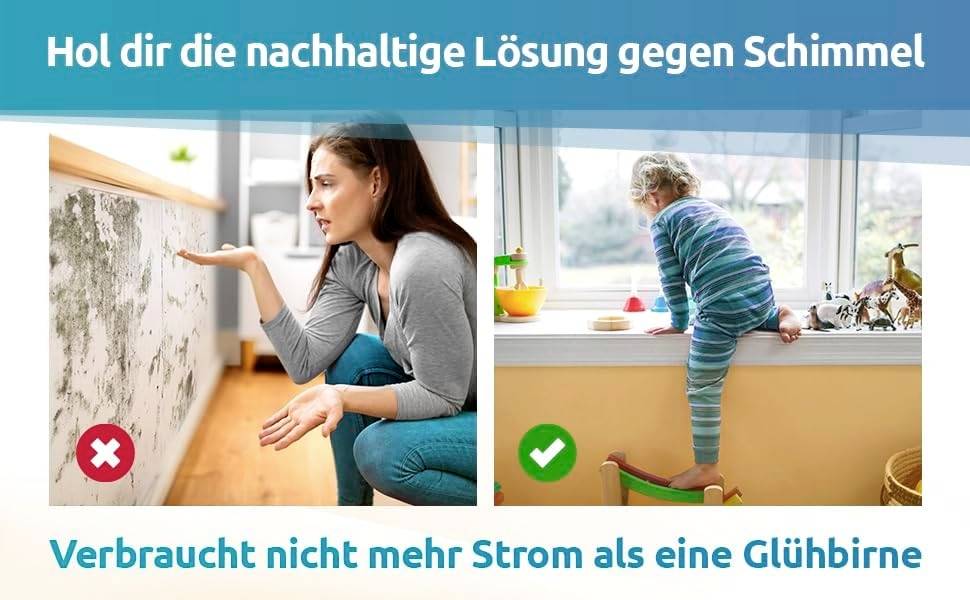 On the left, mould is visible on a wall with a red 'X', on the right a child is standing in front of a window with a green tick. Text: 'Get the sustainable solution against mould'.