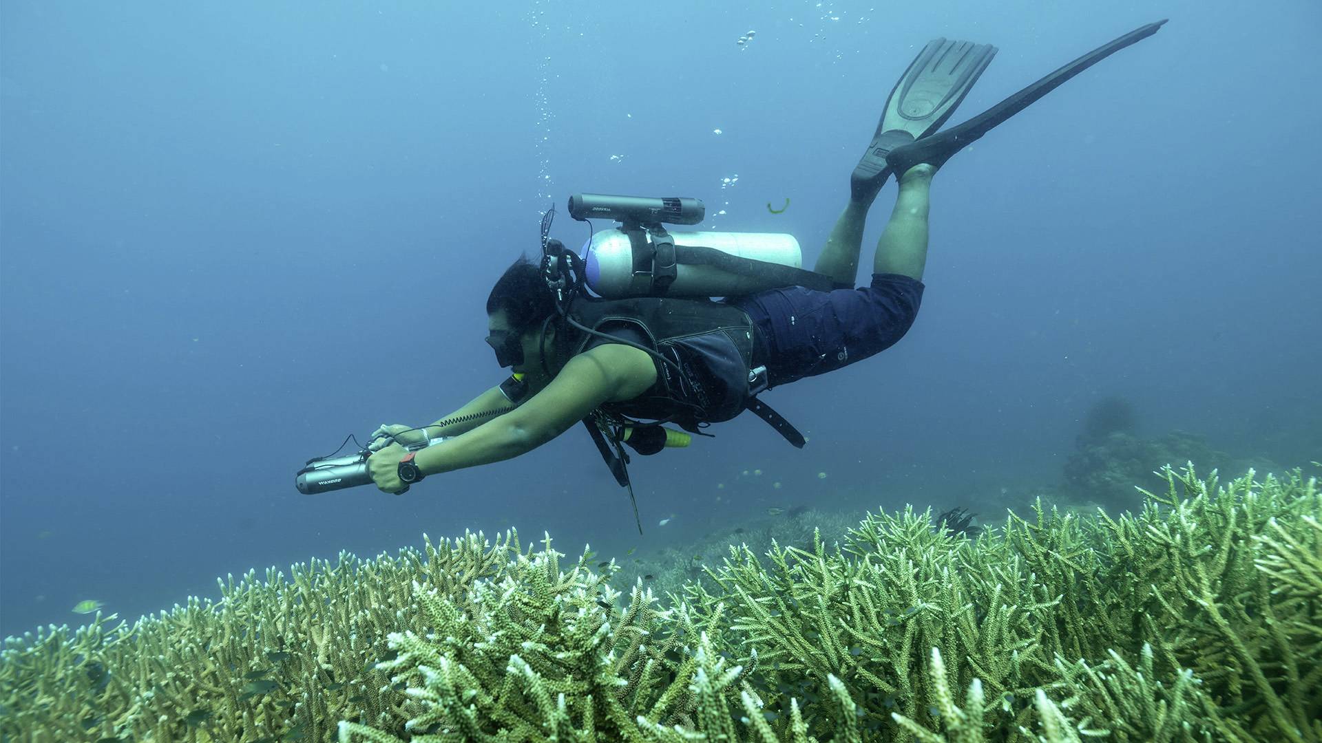 A diver with fins and an oxygen tank is swimming over a coral reef underwater. The scene has a blue tint.