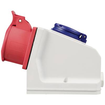 Electrical socket in an industrial style with red and blue terminals, mounted on a white base.