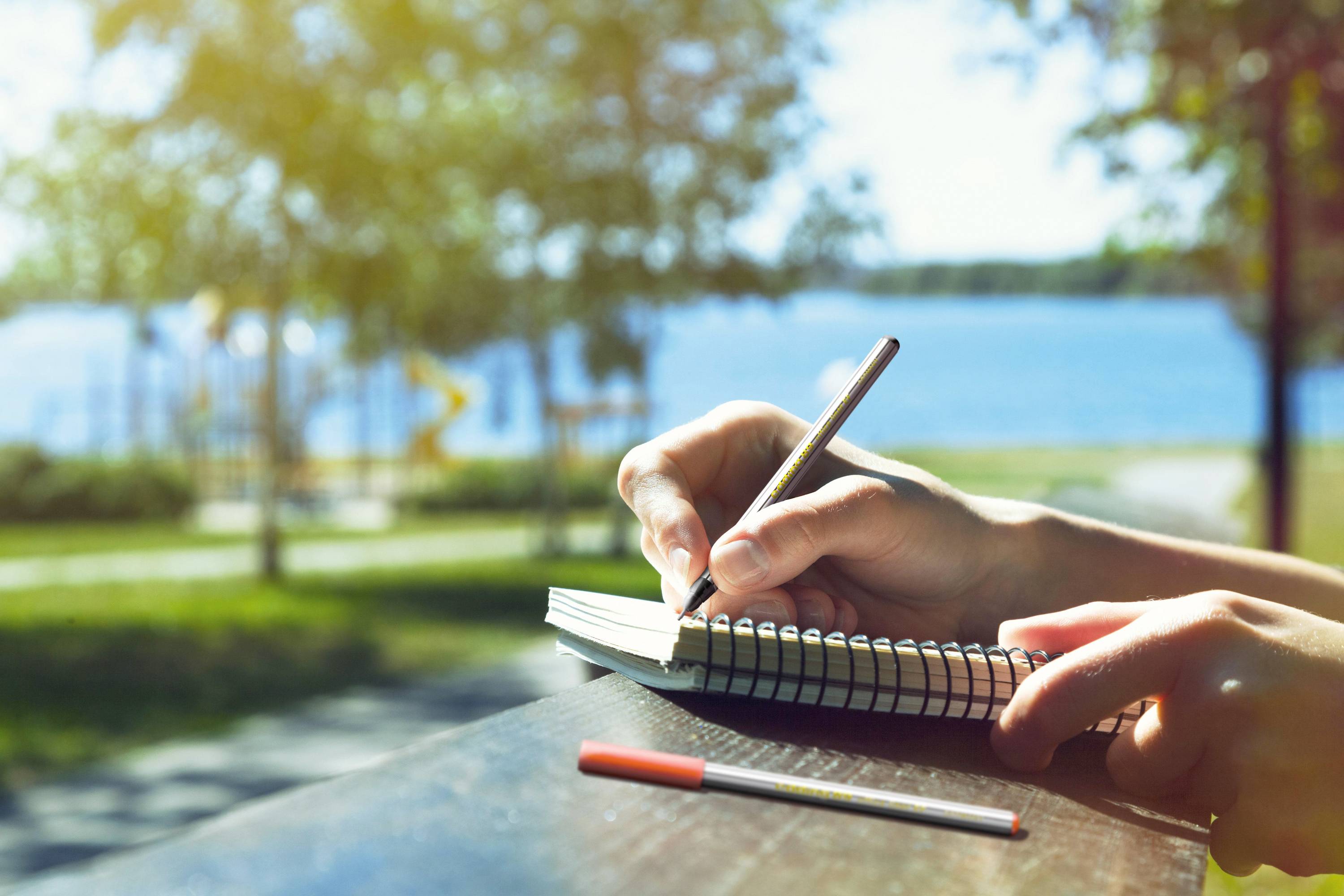 A person is writing in a notebook, with a blurry park featuring trees and a lake in the background on a sunny day.
