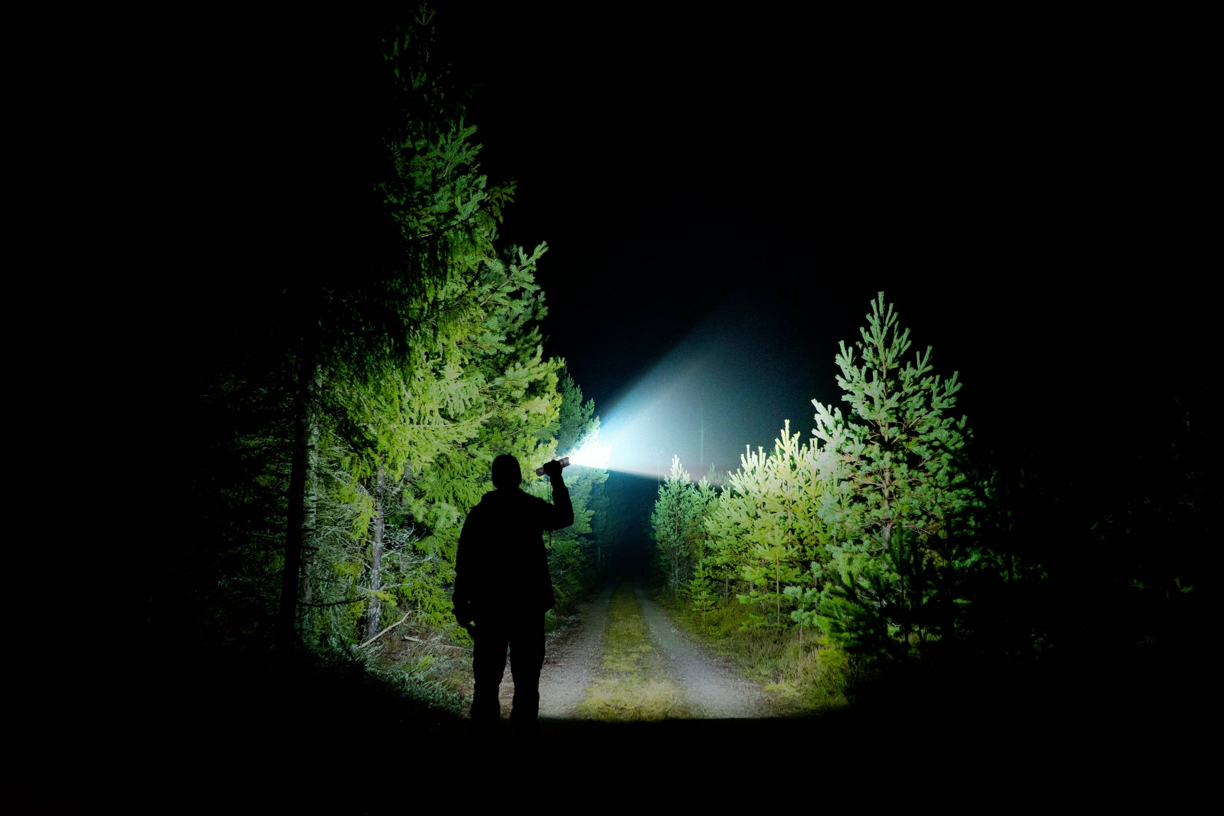 A person in the darkness of a forest path, holding a torch, casting a bright beam of light onto the path, surrounded by trees.