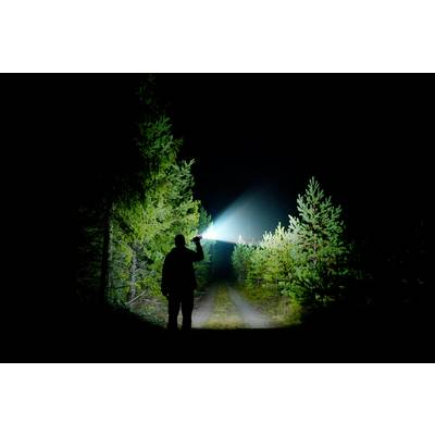A person in the darkness of a forest path, holding a torch, casting a bright beam of light onto the path, surrounded by trees.