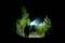 A person in the darkness of a forest path, holding a torch, casting a bright beam of light onto the path, surrounded by trees.