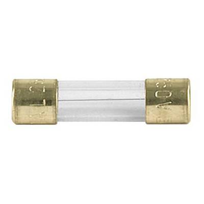 A glass fuse with metal end caps lying horizontally. It is used for overcurrent protection in electrical devices.