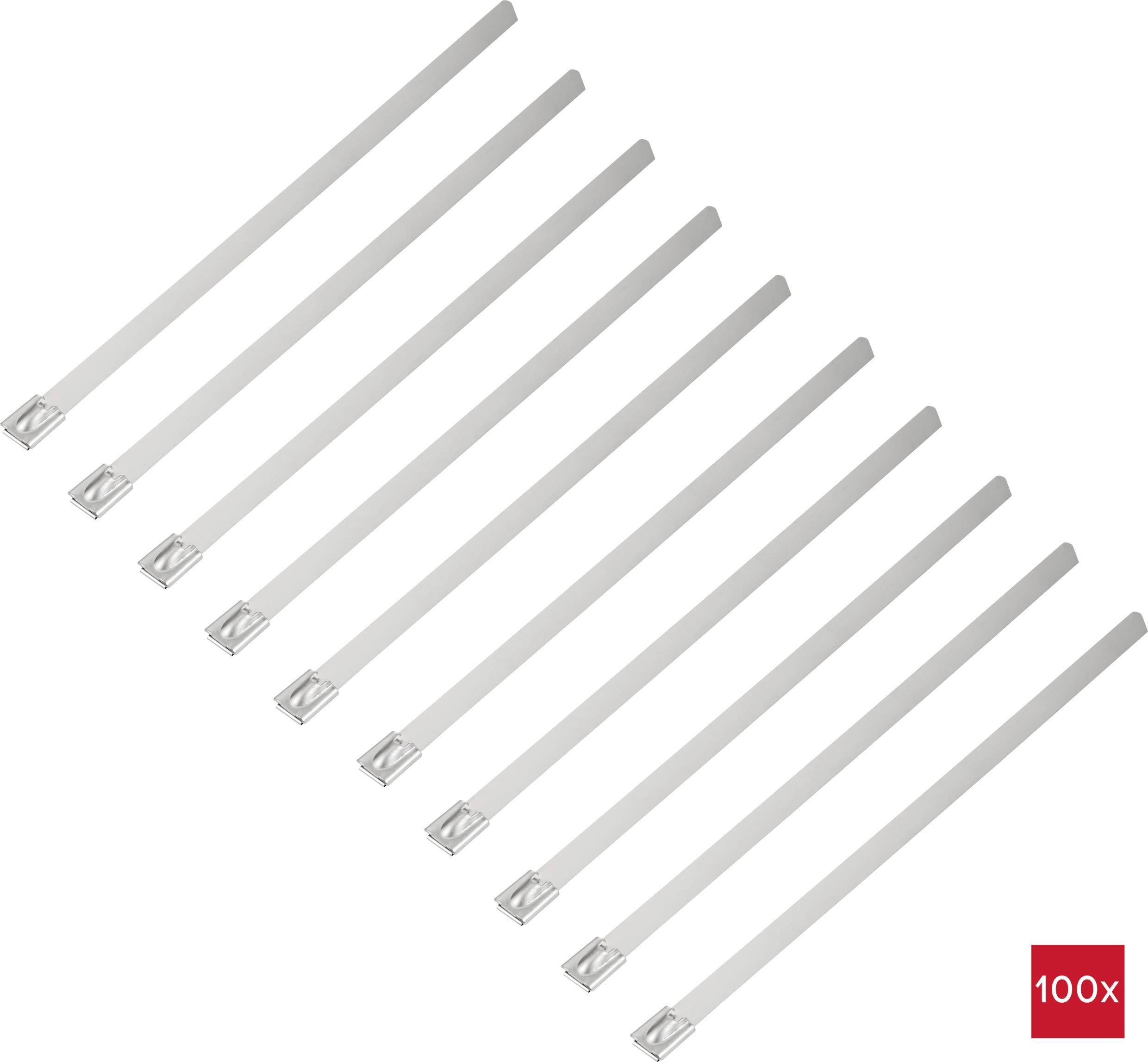 Ten silver-coloured cable ties are arranged evenly side by side. Bottom right, '100x' indicates the quantity.