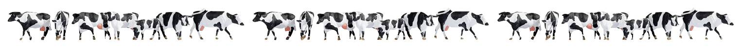 NOCH H0 Black and white cows Painted, Standing