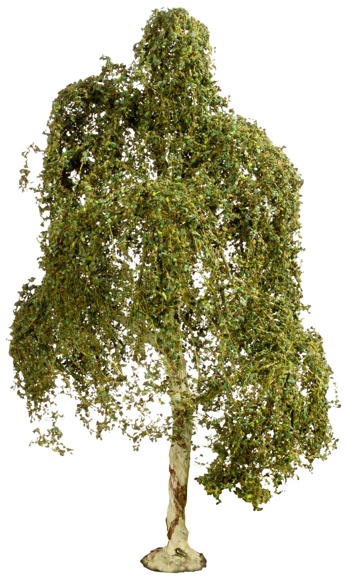 NOCH 20120 Tree Silver birch 180 mm 1 pc(s)