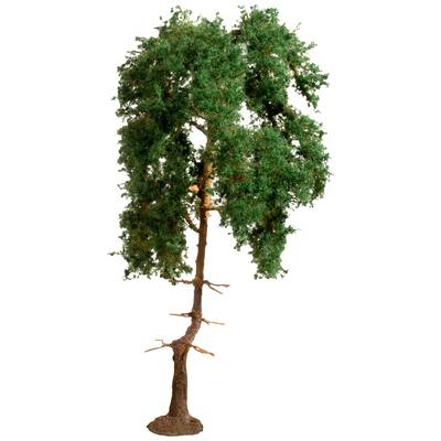 A tree with a slender trunk and a dense crown of green leaves; it stands in isolation against a white background.