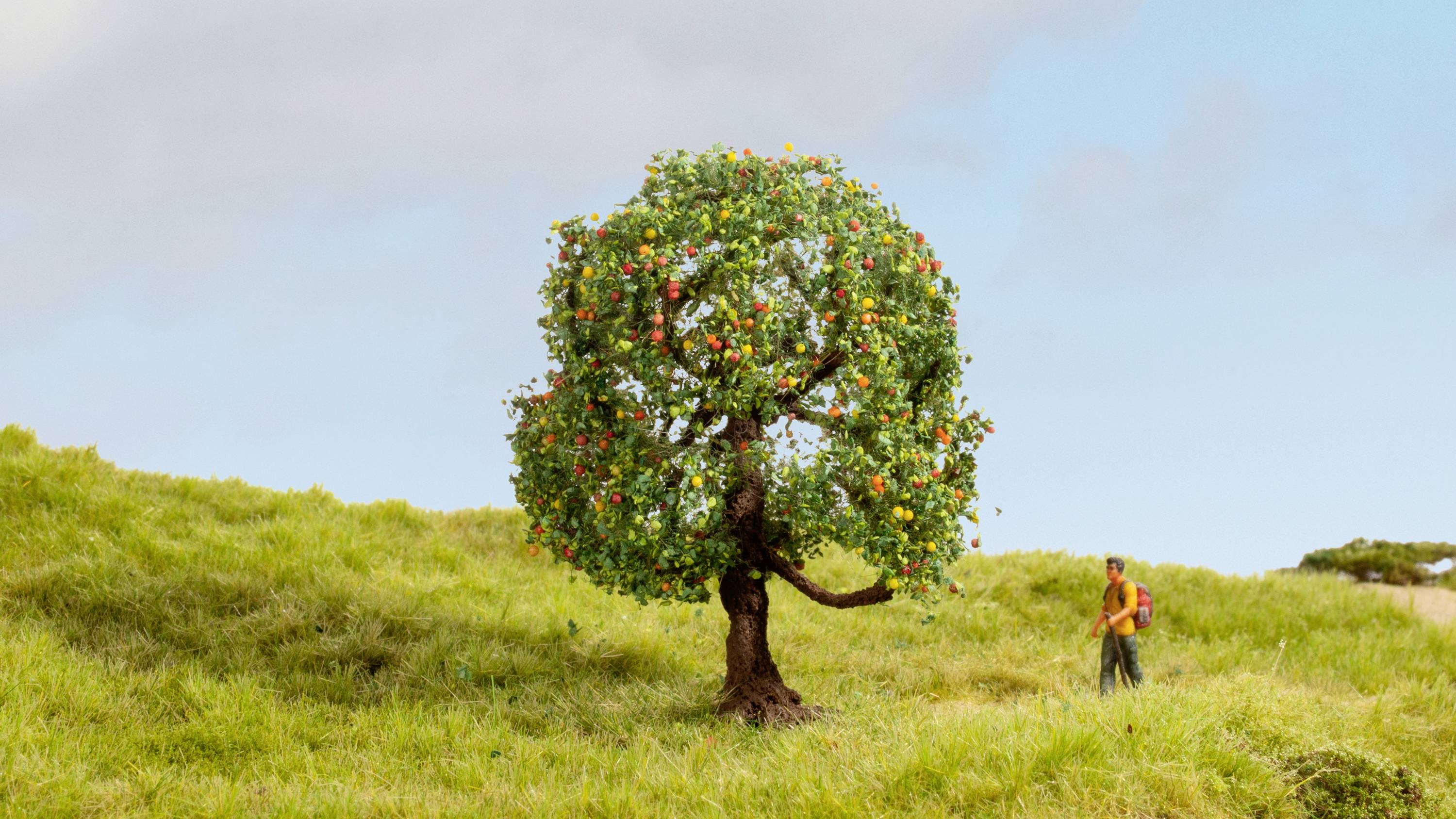 NOCH 20145 Tree Apple tree 80 mm 1 pc(s)