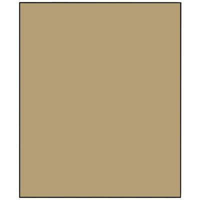 Uniform brown surface without additional patterns or details.