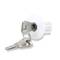 Lock cylinder with key bunch: A metal key is inserted in a silver lock cylinder, with another, unused key beside it.