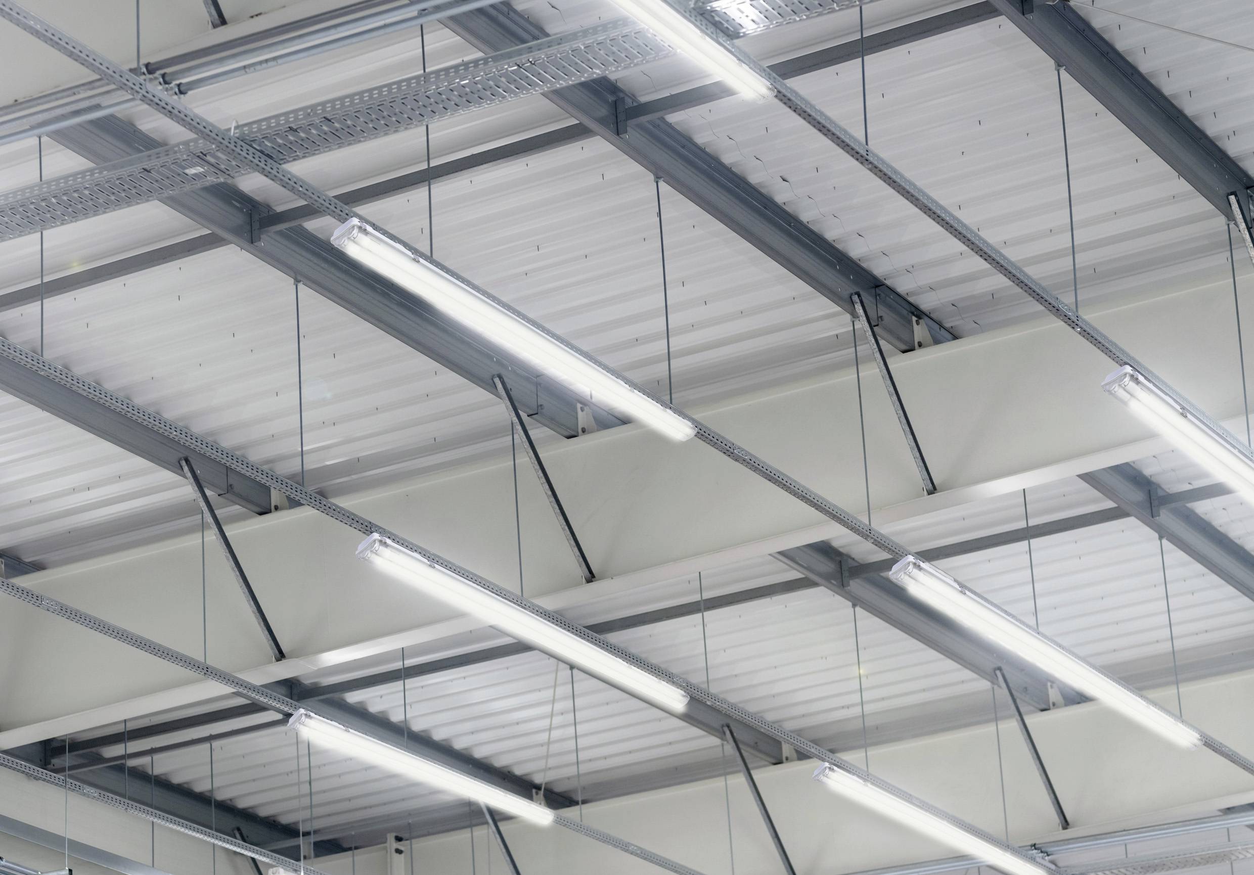 Industrial ceiling with rows of long, rectangular fluorescent lights in a large, open space.