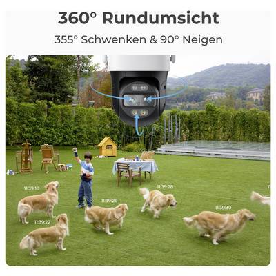 A surveillance camera shows several Golden Retrievers playing outdoors; a child is documenting the scene.