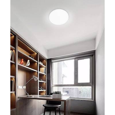 A modern home office with wooden shelves, a desk, desk lamp and large window. Natural daylight floods the room.