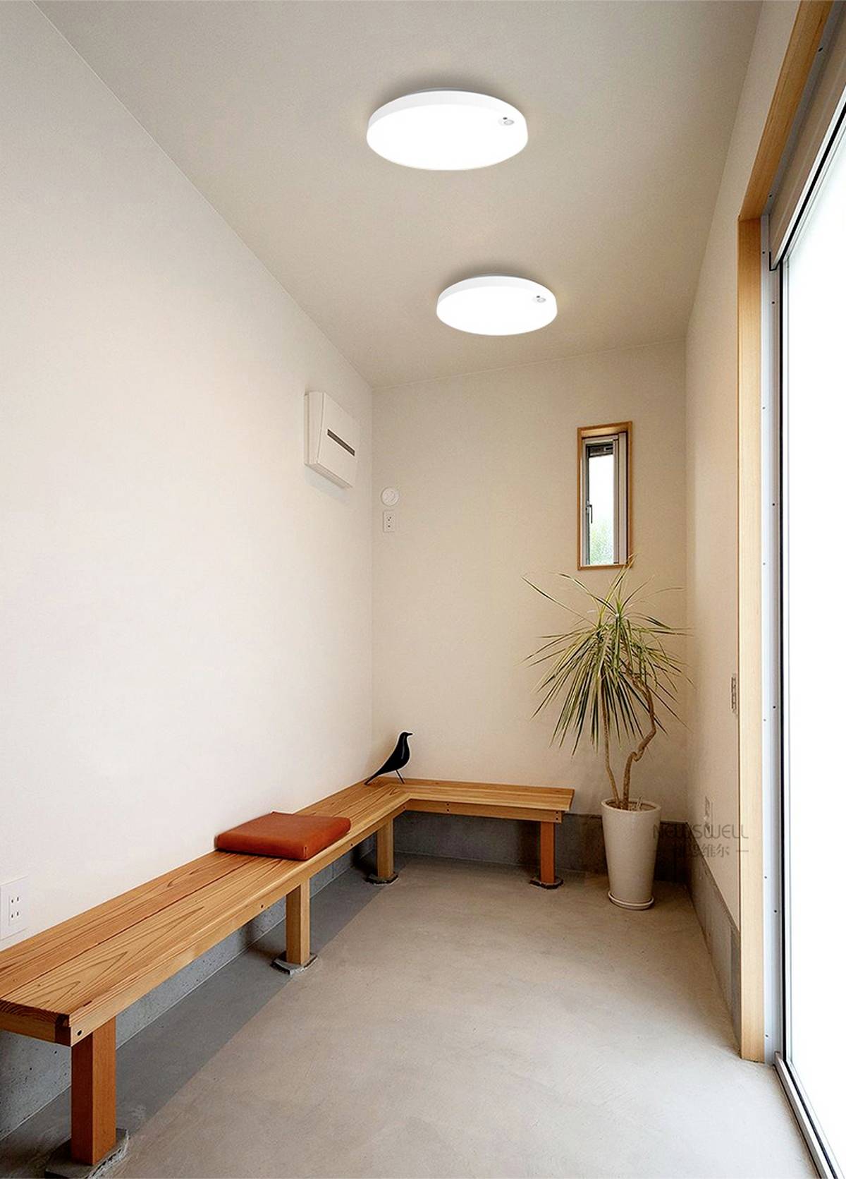 A modern, minimally furnished room with wooden benches, a potted plant, a small opening in the wall and daylight streaming in.