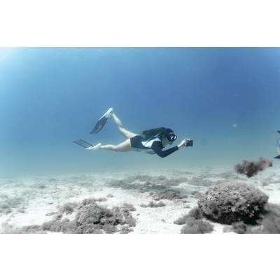 A person is snorkelling underwater and holding a camera to capture images of the marine environment.