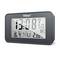 Digital clock shows 13:08. Display symbols for alarm and radio-controlled time. Below, date 16/4, Thursday, temperature 23.6°C. Case grey.