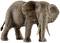 An elephant with large ears and long tusks stands upright on a white surface.