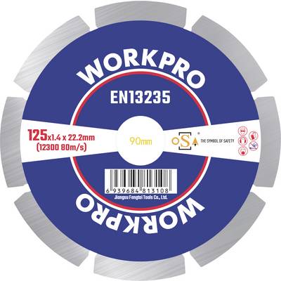 'Saw Blade Label: WORKPRO EN13235, 125x1.4x22.2mm, 12300 80m/s. Centre Opening: 90mm. Safety and Manufacturer Instructions Available.'