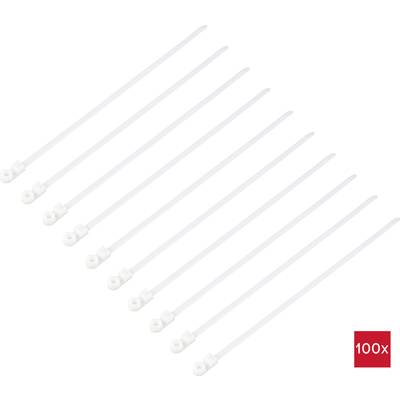 'Ten white cable ties in a row. Bottom right on a red background, 100x is written.'
