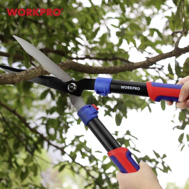 A person is cutting a branch from a tree using a two-handed, red and blue pruning shears by the brand Workpro.