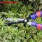 Scissors cutting a green bush in the garden. Red and blue handles. Brand name 'WORKPRO' in the top left of the image.