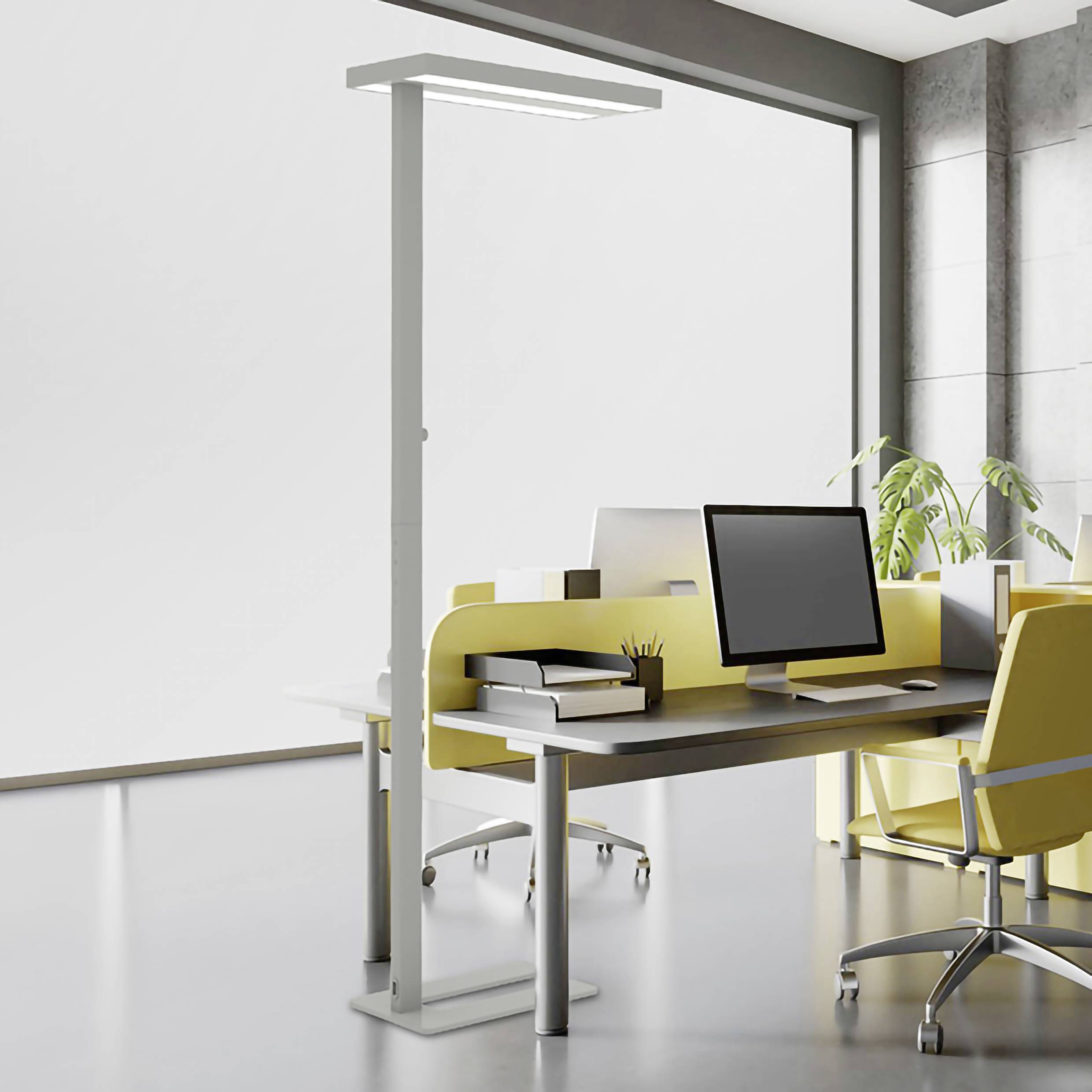 Modern office with a desk, chair, computer screen and plants. Large windows let in plenty of light.