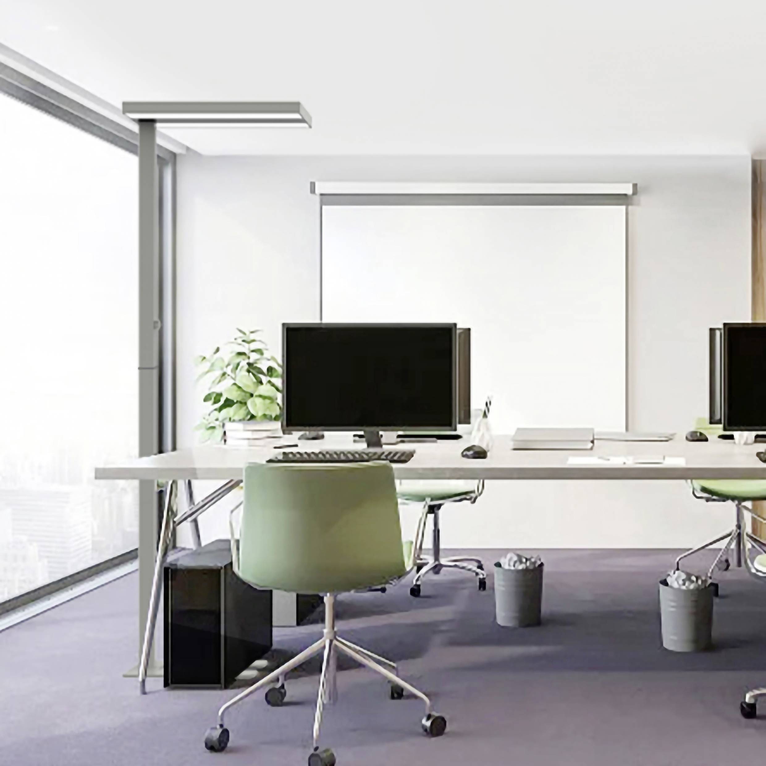 Bright office with two desks, each with a computer screen, office chairs, plants and windows with a city view.